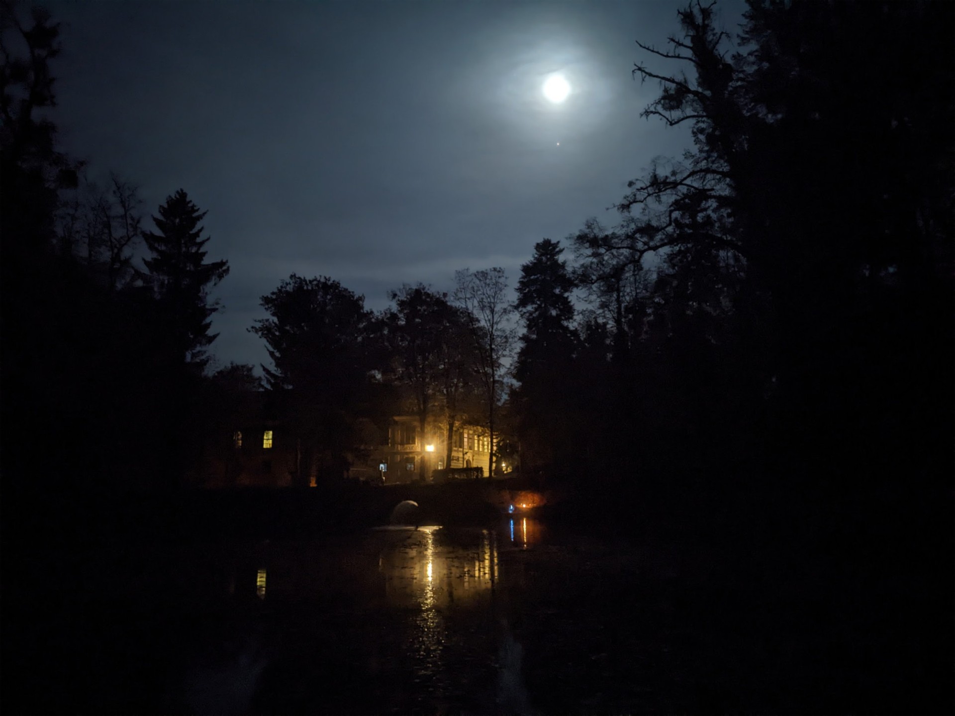 Moonlight over the château pond
